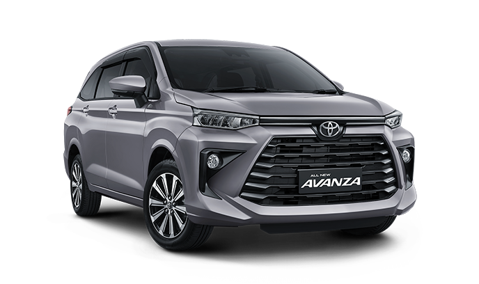 avanza purplish